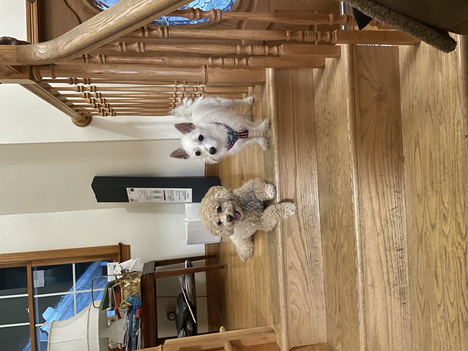 Belle and her companion waiting on the stairs
