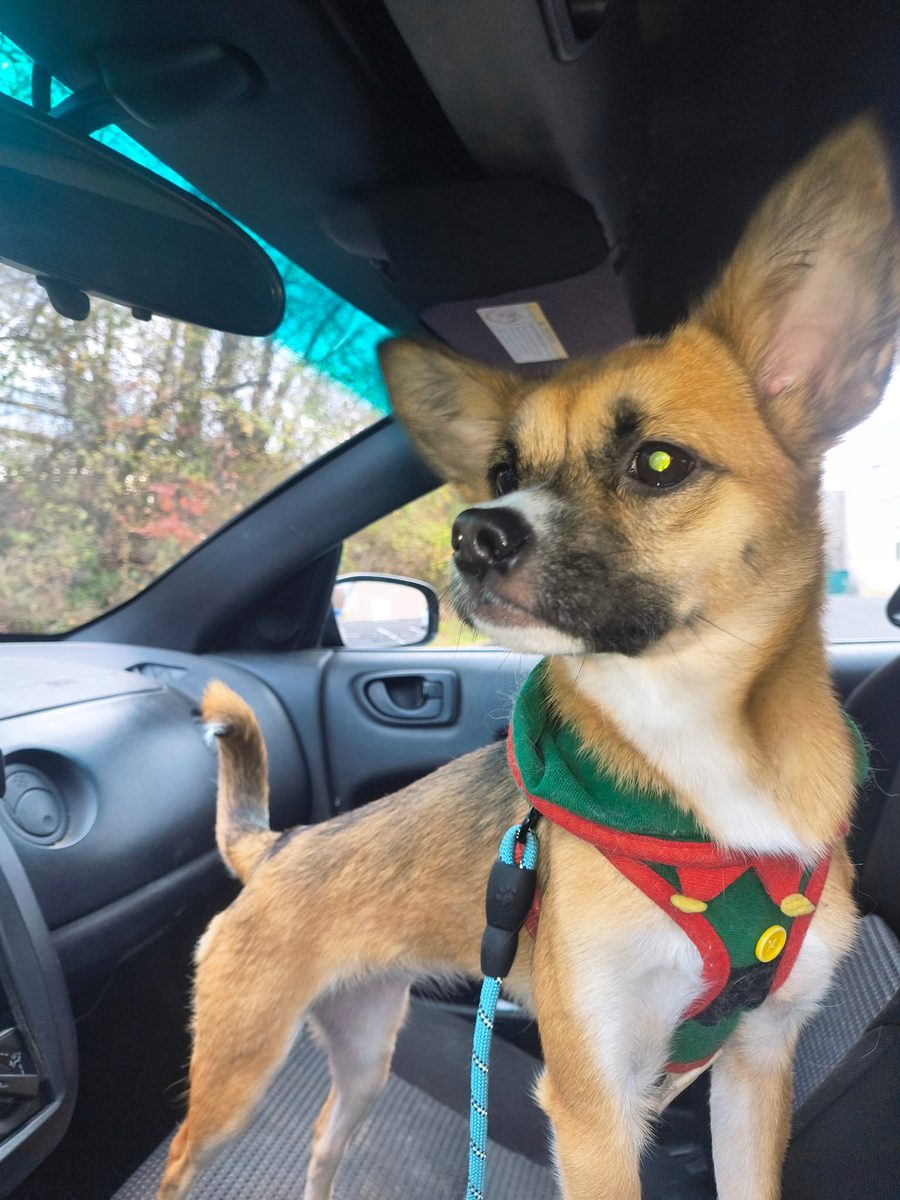 Butter claiming the front seat