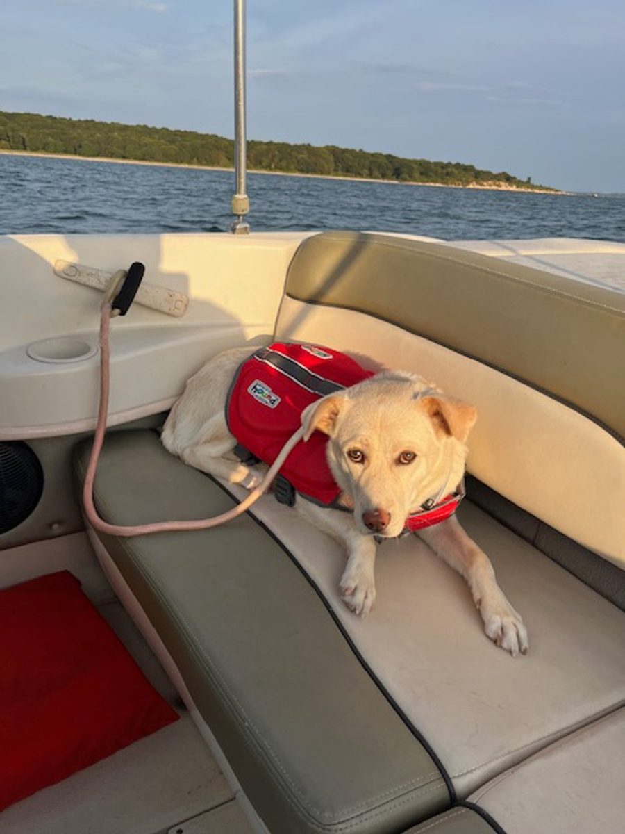 Cody on a boat