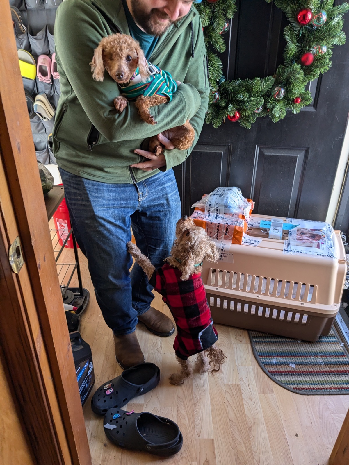 Garlic, Chico, and Chorong at home
