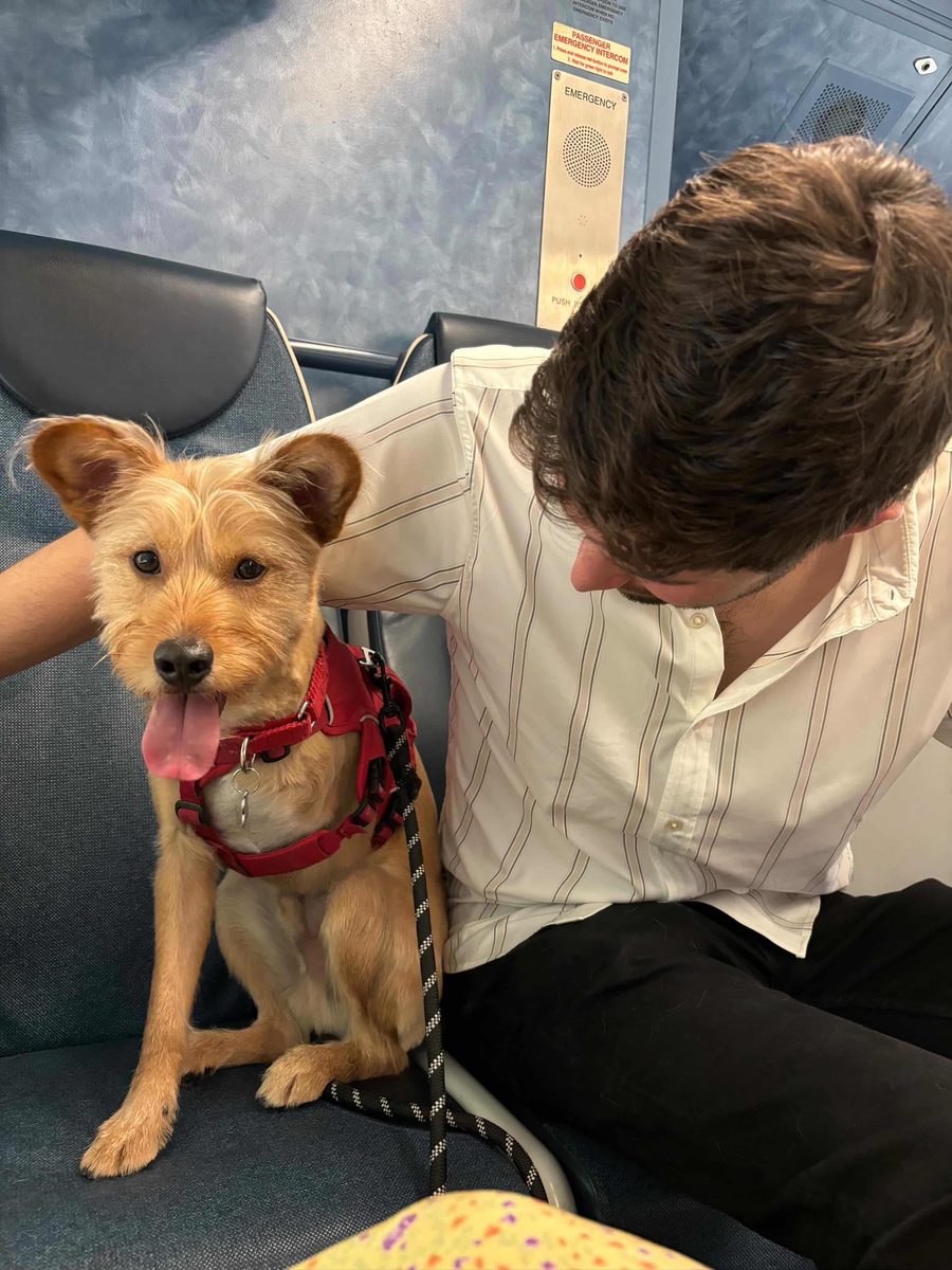 Hiro with Rory on transit