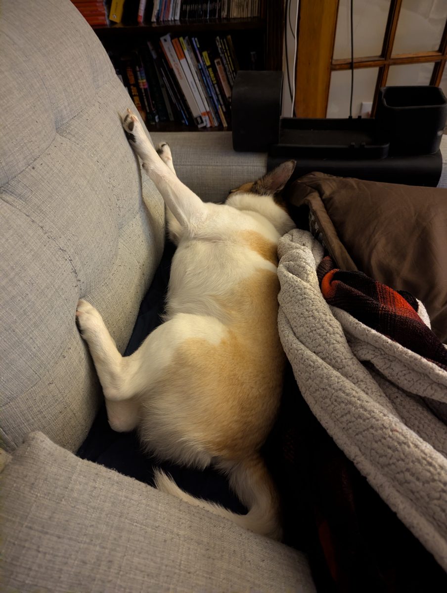 Rudy fully relaxed