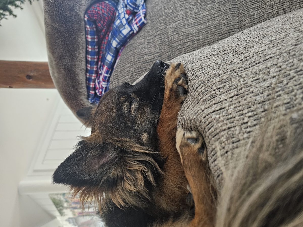 Wally relaxing