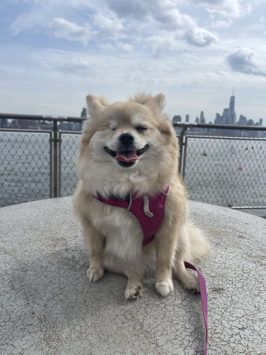 Winnie