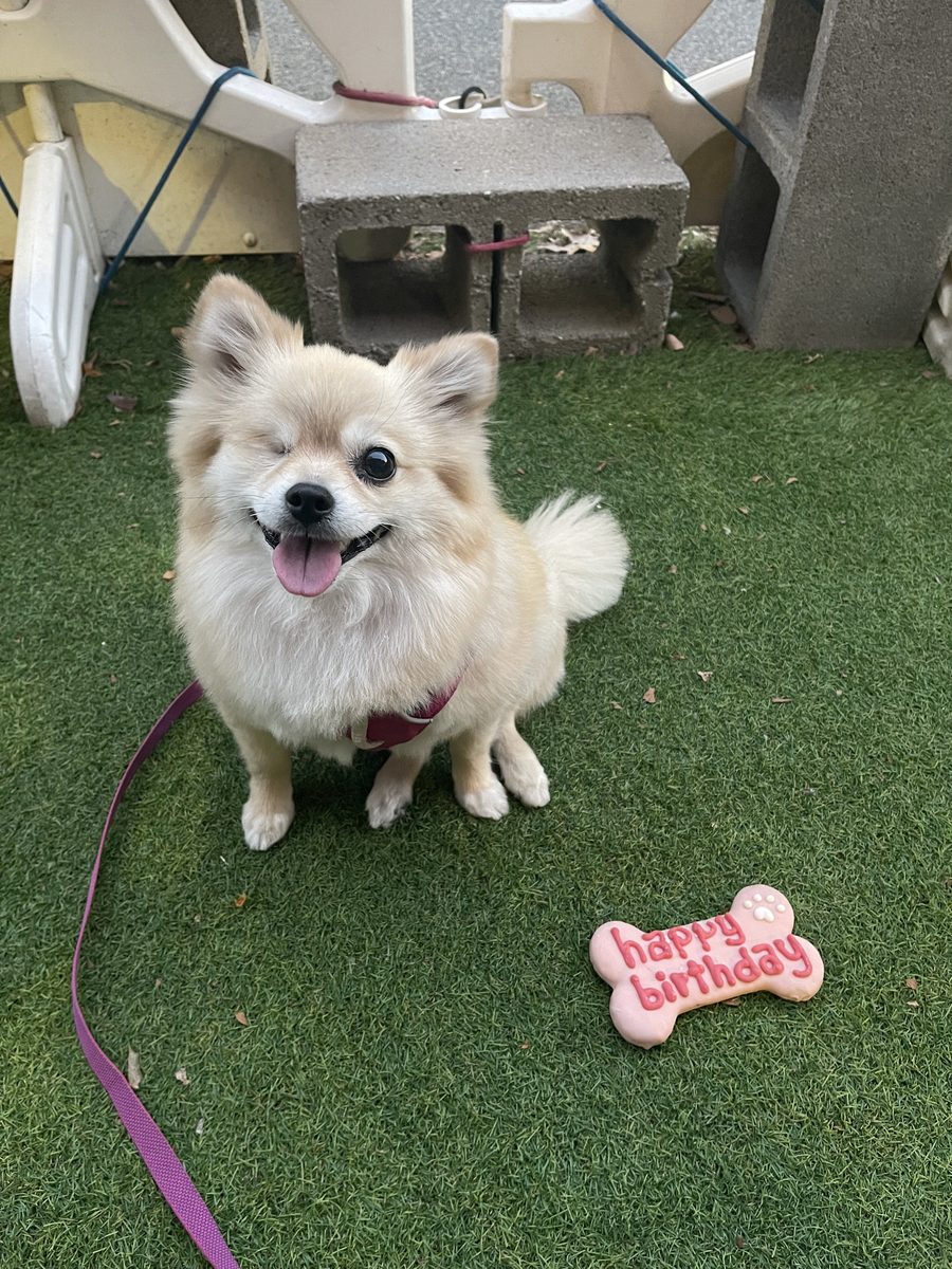 Winnie celebrating her birthday
