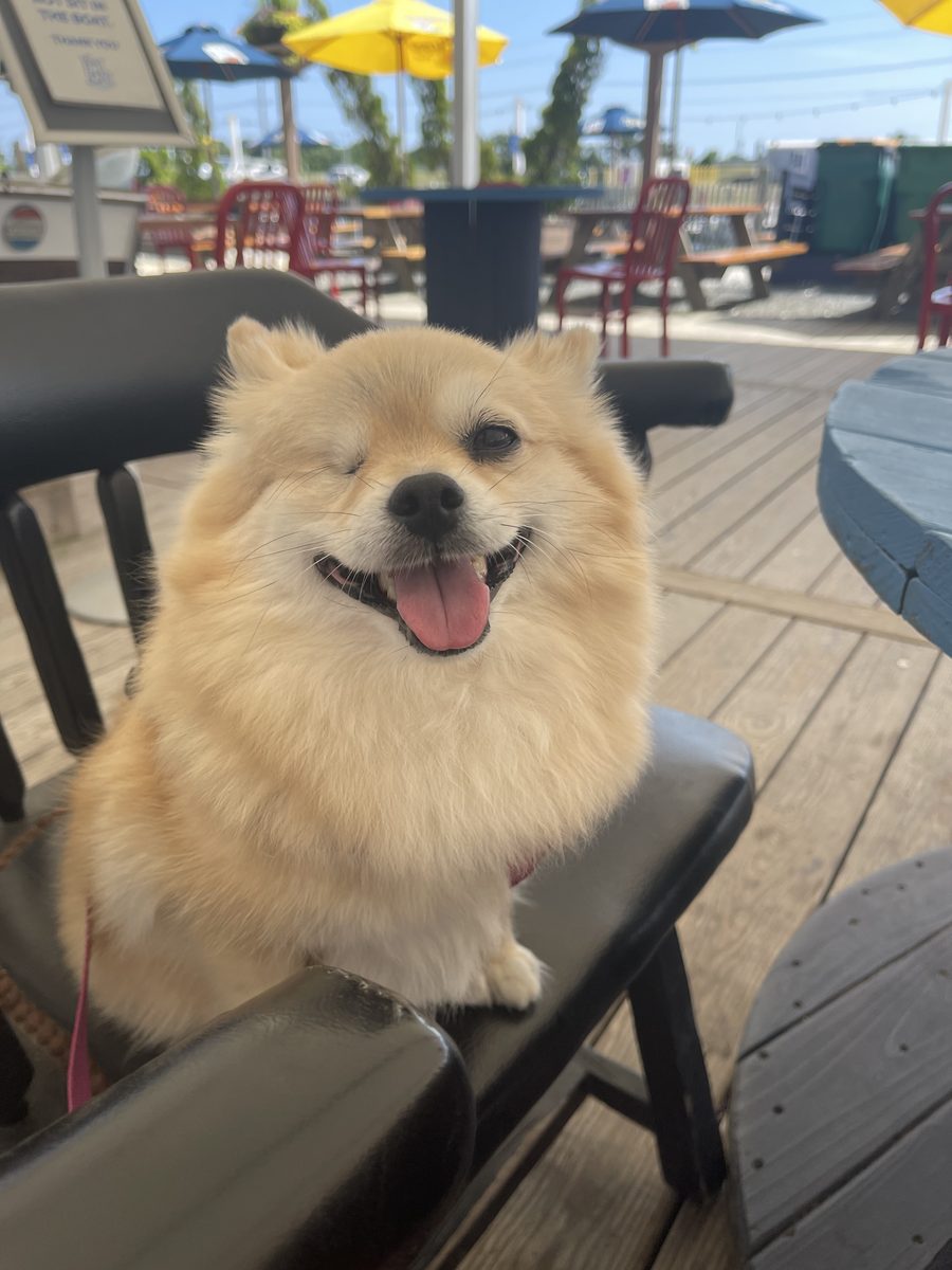 Winnie smiling at a waterfront restaurant